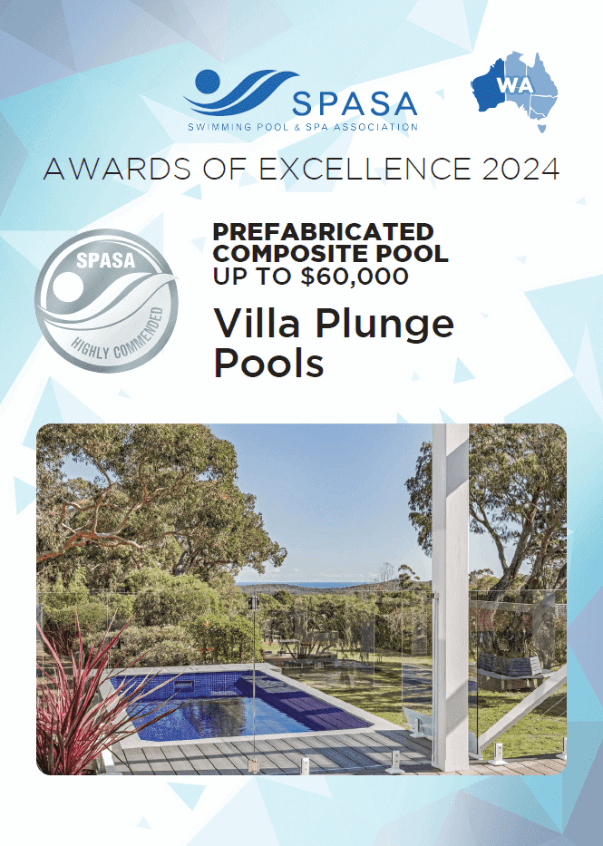 silver award